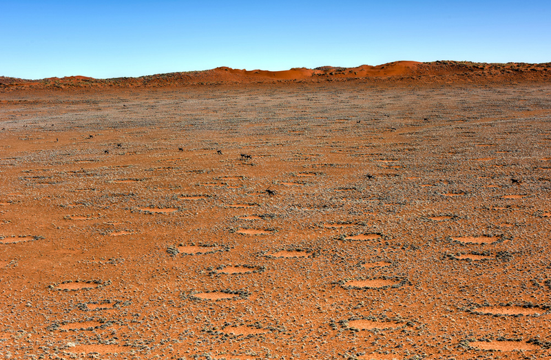 Los círculos forman un peculiar tapete que decora la pradera en Namibia. Foto: Felix Lipov / Shutterstock